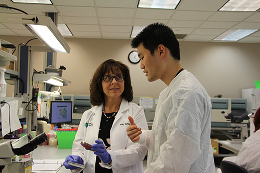 Infectious disease doctors working in lab